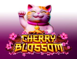 Cherry Blossom