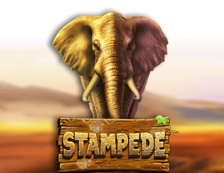 Stampede