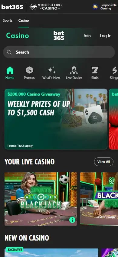 bet365 Casino screenshot 4