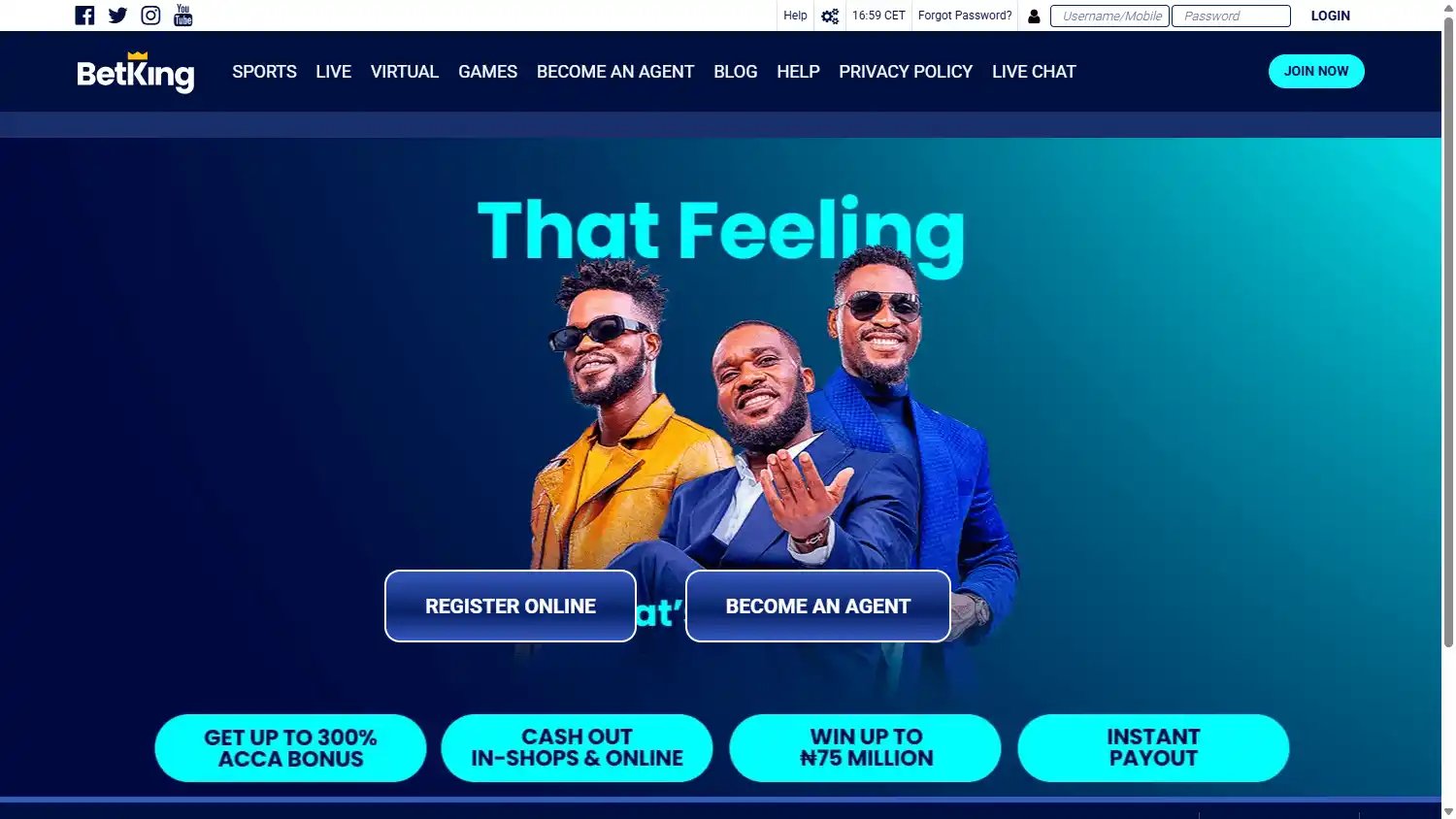 BetKing Casino screenshot 1