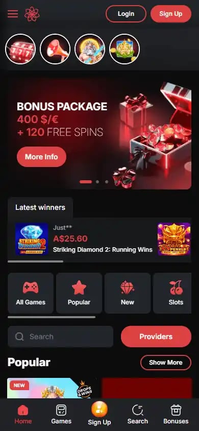 Casinochan screenshot 4