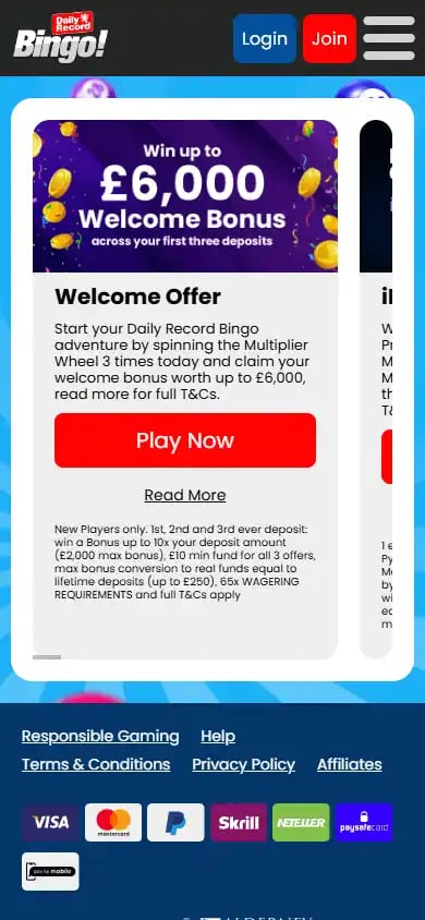 Daily Record Bingo Casino screenshot 6