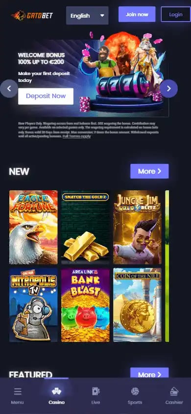 GatoBet Casino screenshot 4