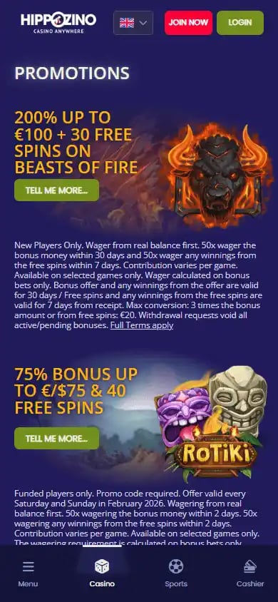 Hippozino Casino screenshot 6