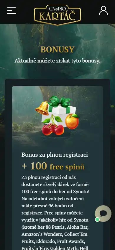 Kartáč Casino screenshot 4