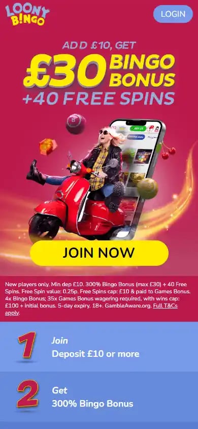 Loony Bingo Casino screenshot 2