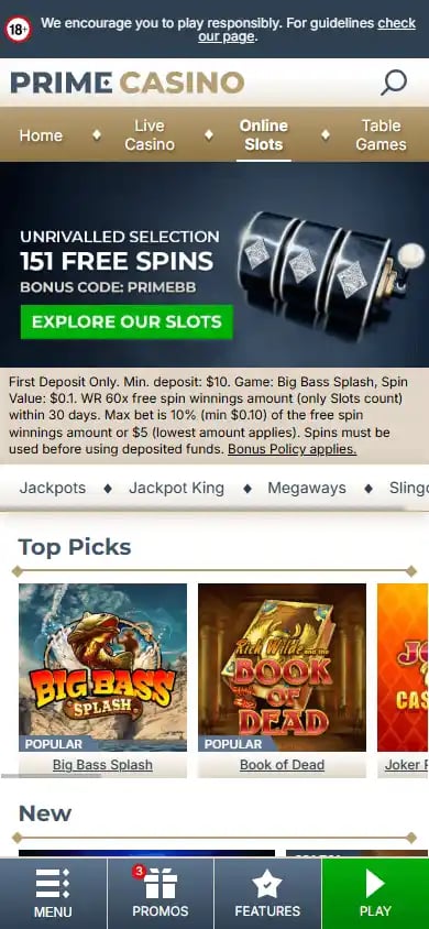 Prime Casino screenshot 5