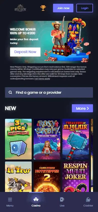 Royal House Casino screenshot 4