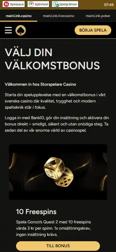 Storspelare Casino screenshot 6