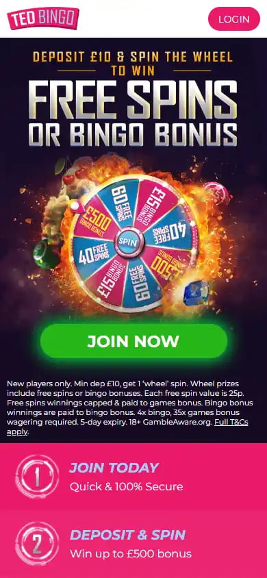 Ted Bingo Casino screenshot 2