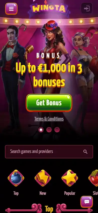 Winota Casino screenshot 4