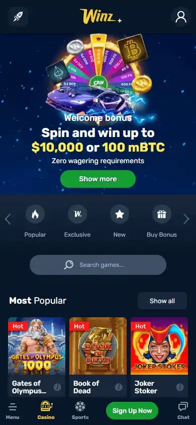 Winz Casino screenshot 4