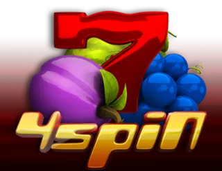 4 Spin