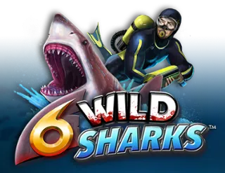 6 Wild Sharks