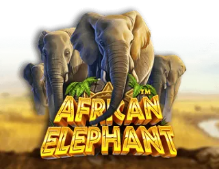 African Elephant