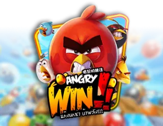 Angry Win