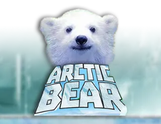 Arctic Bear