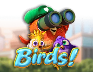 Birds!