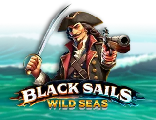 Black Sails Wild Seas