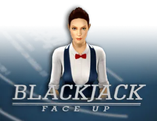 BlackJack 21 FaceUp 3D Dealer