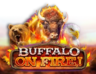 Buffalo on Fire!