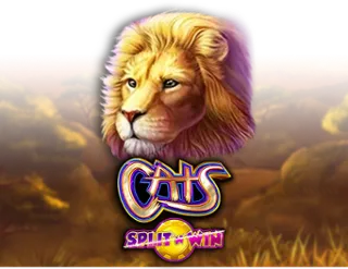 Cats Split 'n' Win