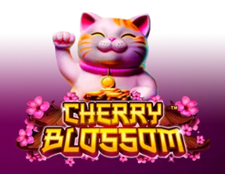 Cherry Blossom