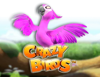 Crazy Birds