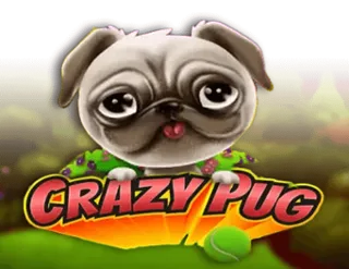 Crazy Pug