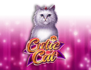 Cutie Cat