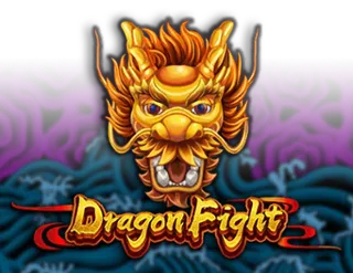 Dragon Fight