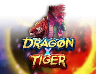 Dragon X Tiger