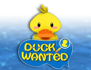 Duck Wanted