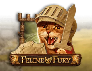 Feline Fury