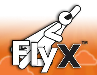 FlyX