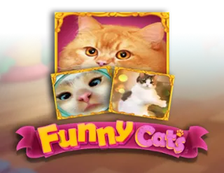 Funny Cats