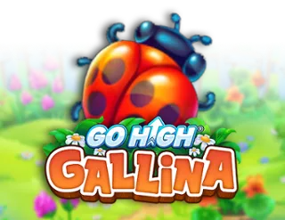 Go High Gallina