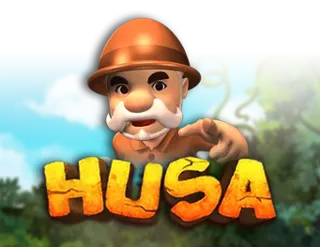 Husa