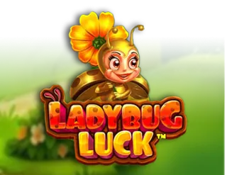 Ladybug Luck