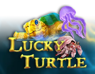 Lucky Turtle