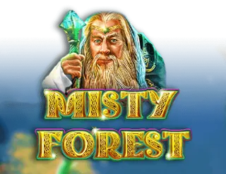 Misty Forest