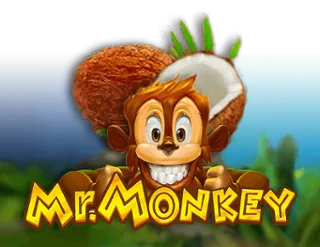 Mr. Monkey