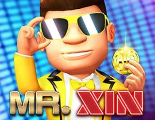 Mr. Xin