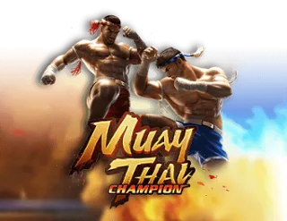 Muay Thai Champion