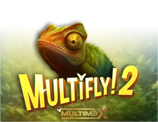 MultiFly 2