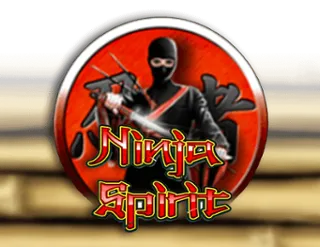 Ninja Spirit