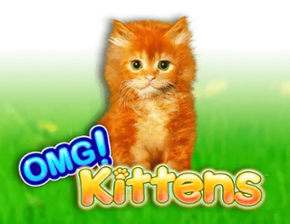 OMG Kittens