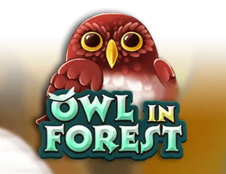 Owl In Forest