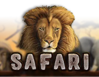 Safari