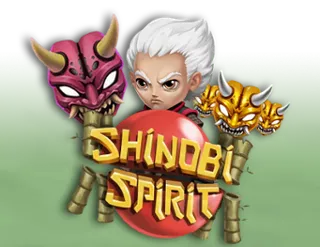 Shinobi Spirit